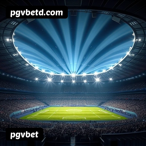 Níveis do programa VIP da pgvbet